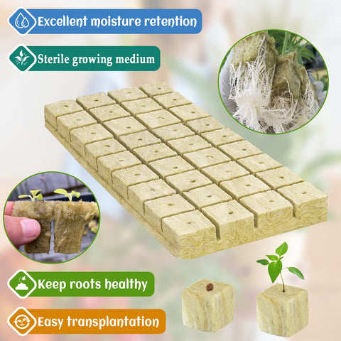 Soft Legigo rockwool fibers cushion delicate roots during early growth