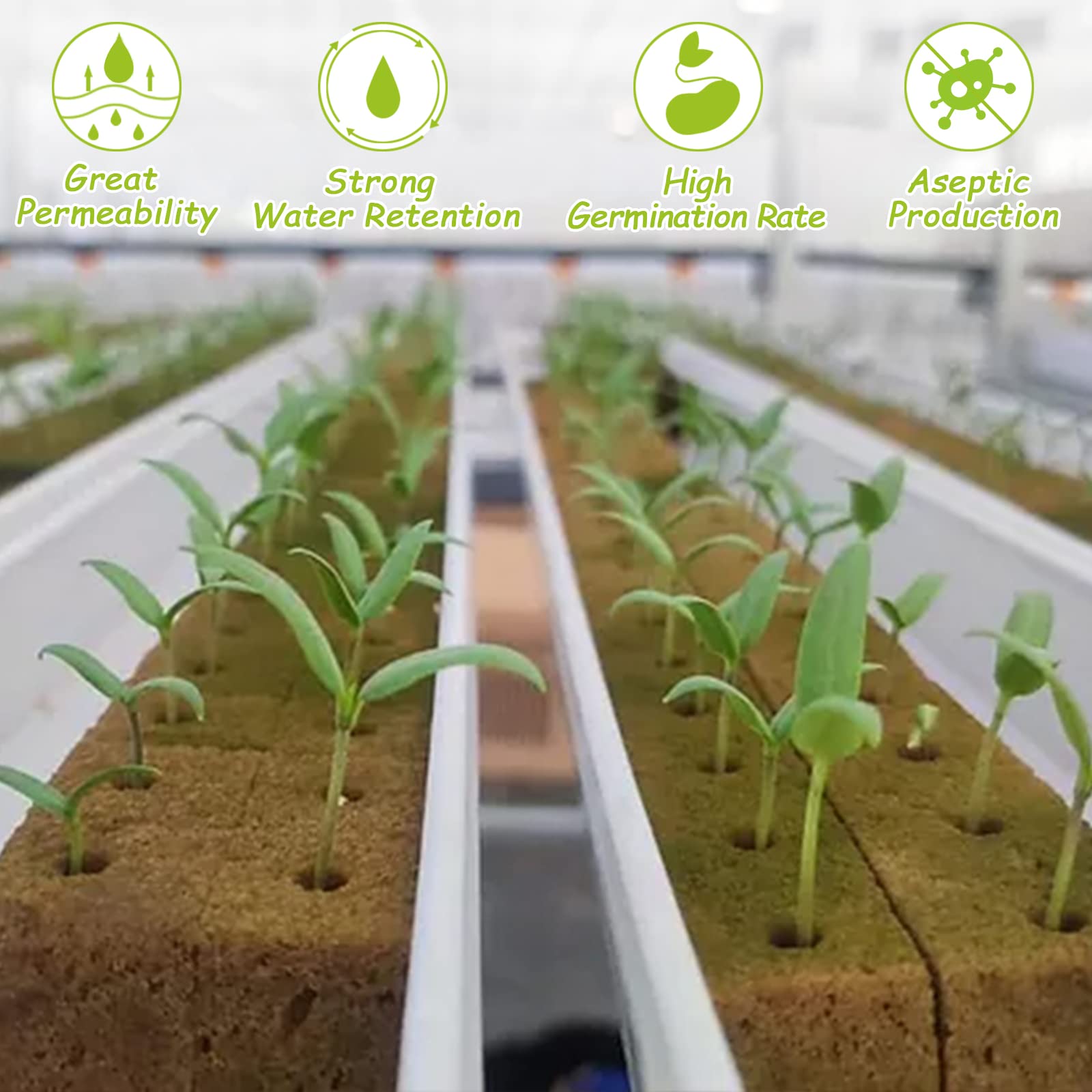 Legigo rockwool cube buffers temperature for delicate seedlings
