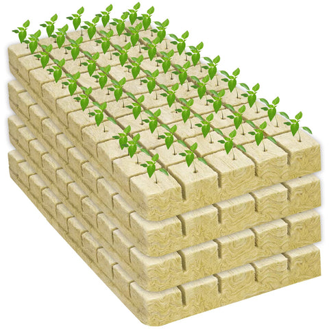 Legigo rockwool cubes versatile for seeds, cuttings, cloning.