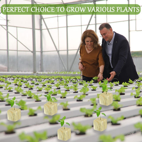 Legigo rockwool cubes wide applications suit home gardens and commercial seed programs.