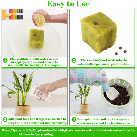 Legigo seedling cubes with strong aeration support early root growth