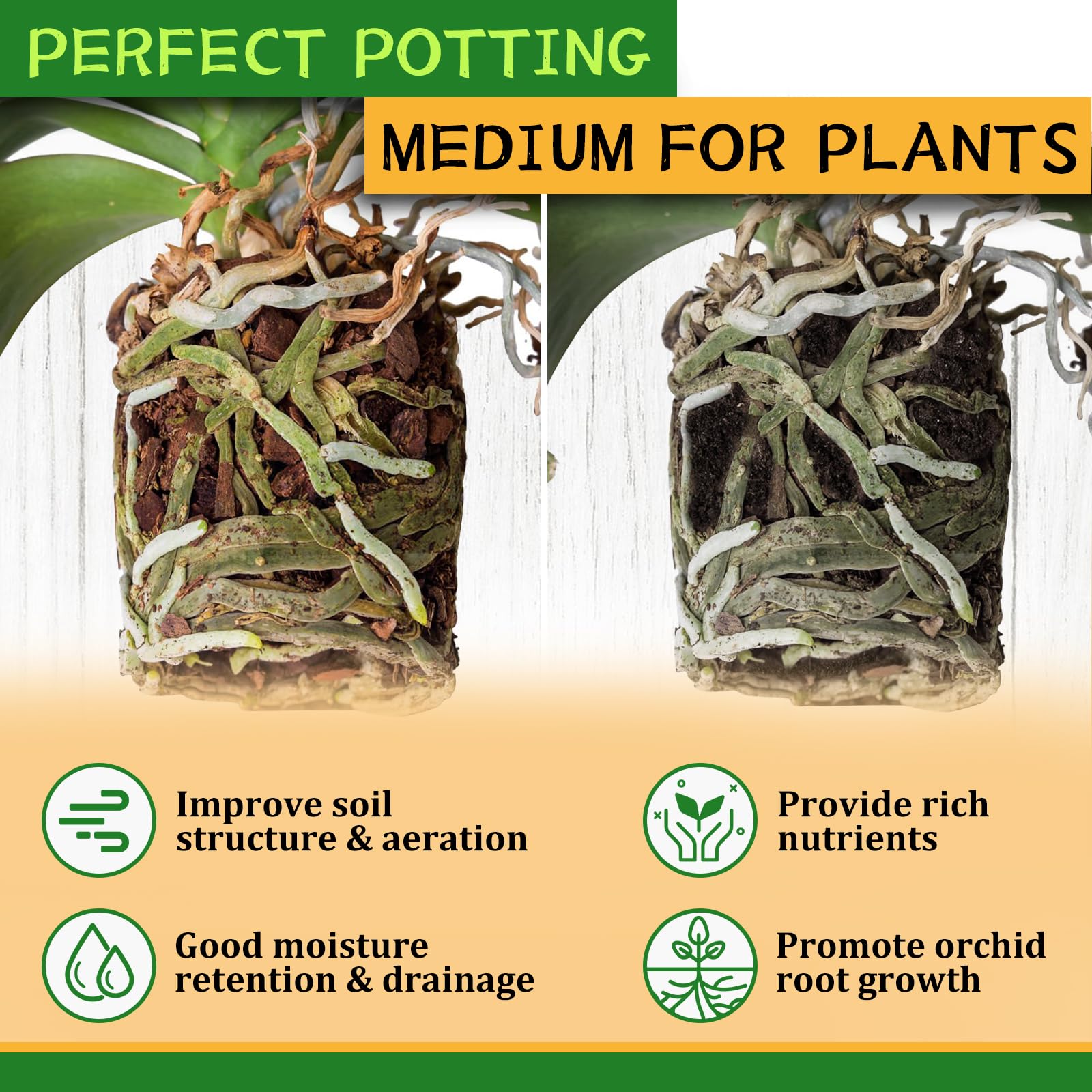 Legigo orchid bark mix provides drainage and air circulation for epiphytic orchids.
