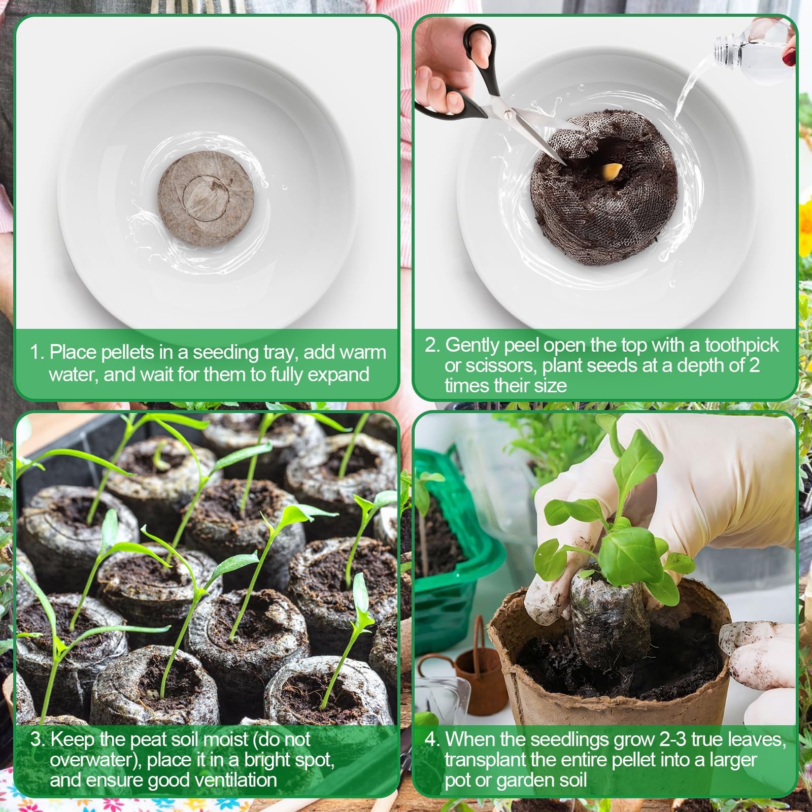 Legigo root growth with netting removal encourages easier transplanting.