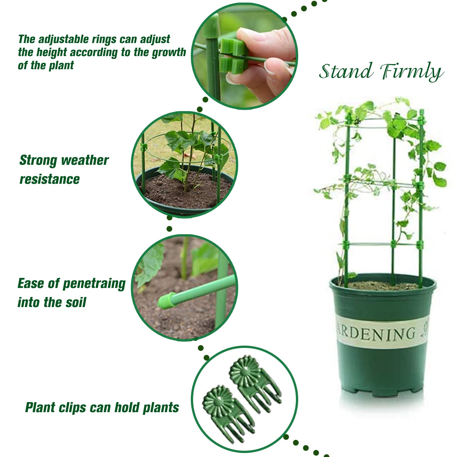 Legigo adjustable design cages adapt to plant growth with four rings.