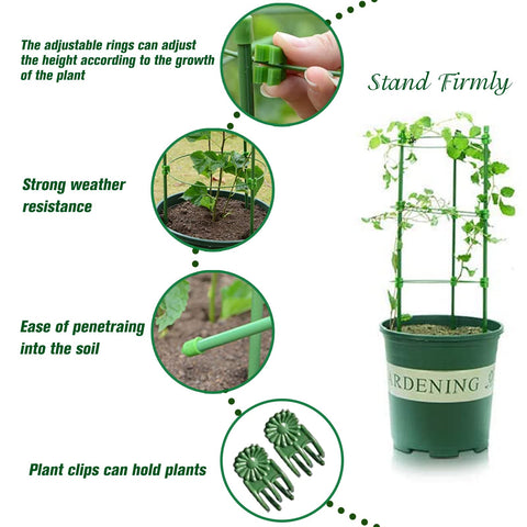 Legigo adjustable design cages adapt to plant growth with four rings.