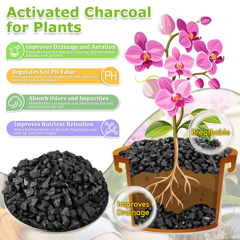 Legigo screened charcoal for soil amendment with even particle distribution