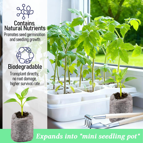 Legigo peat environment supports even moisture and steady germination in pots