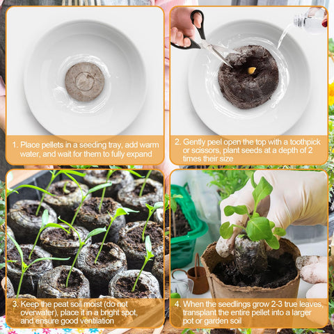  Legigo 2-inch diameter peat pellets used for compact seed starting.