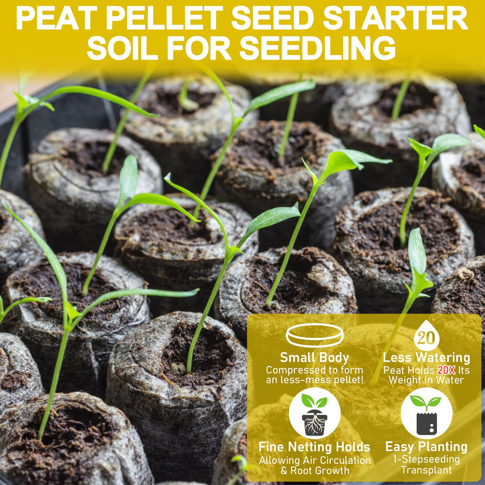 Legigo peat pellets provide aeration and moisture retention for seedlings.