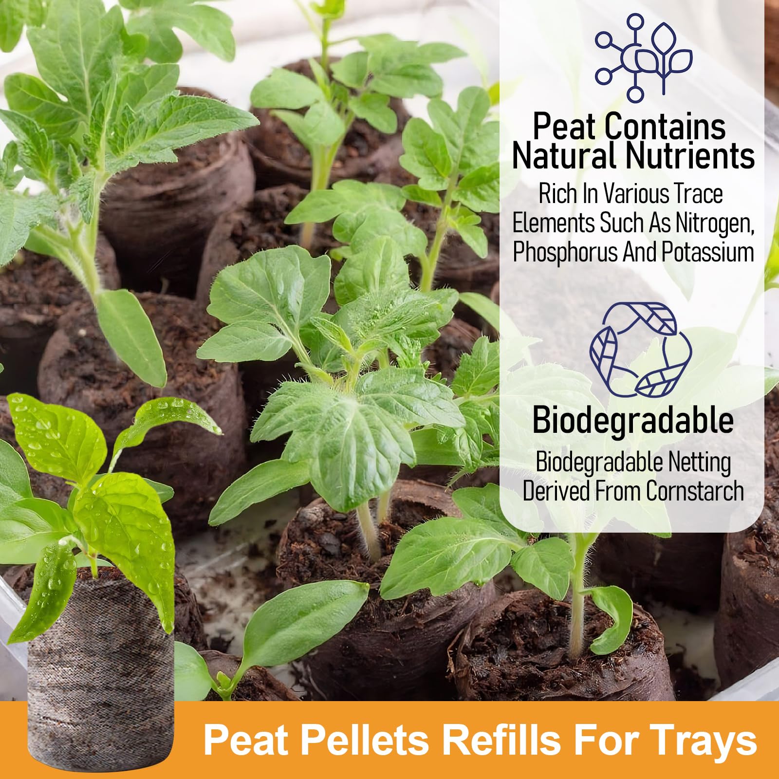  Legigo pellets in trays demonstrate easy plug-and-grow starting system.