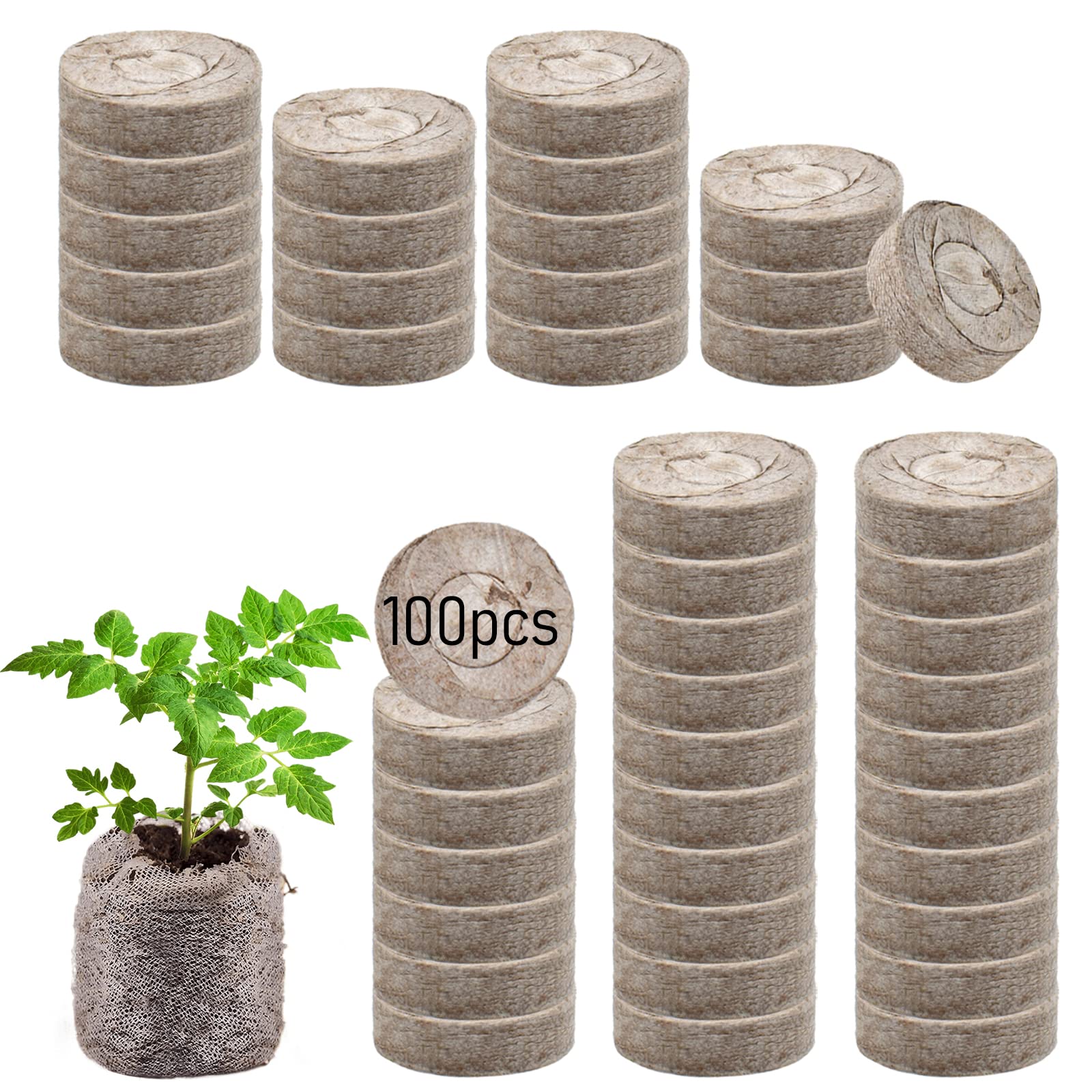 Legigo seed pellets ideal for kid-friendly indoor gardening activities.