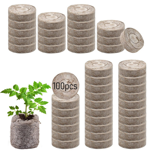 Legigo seed pellets ideal for kid-friendly indoor gardening activities.