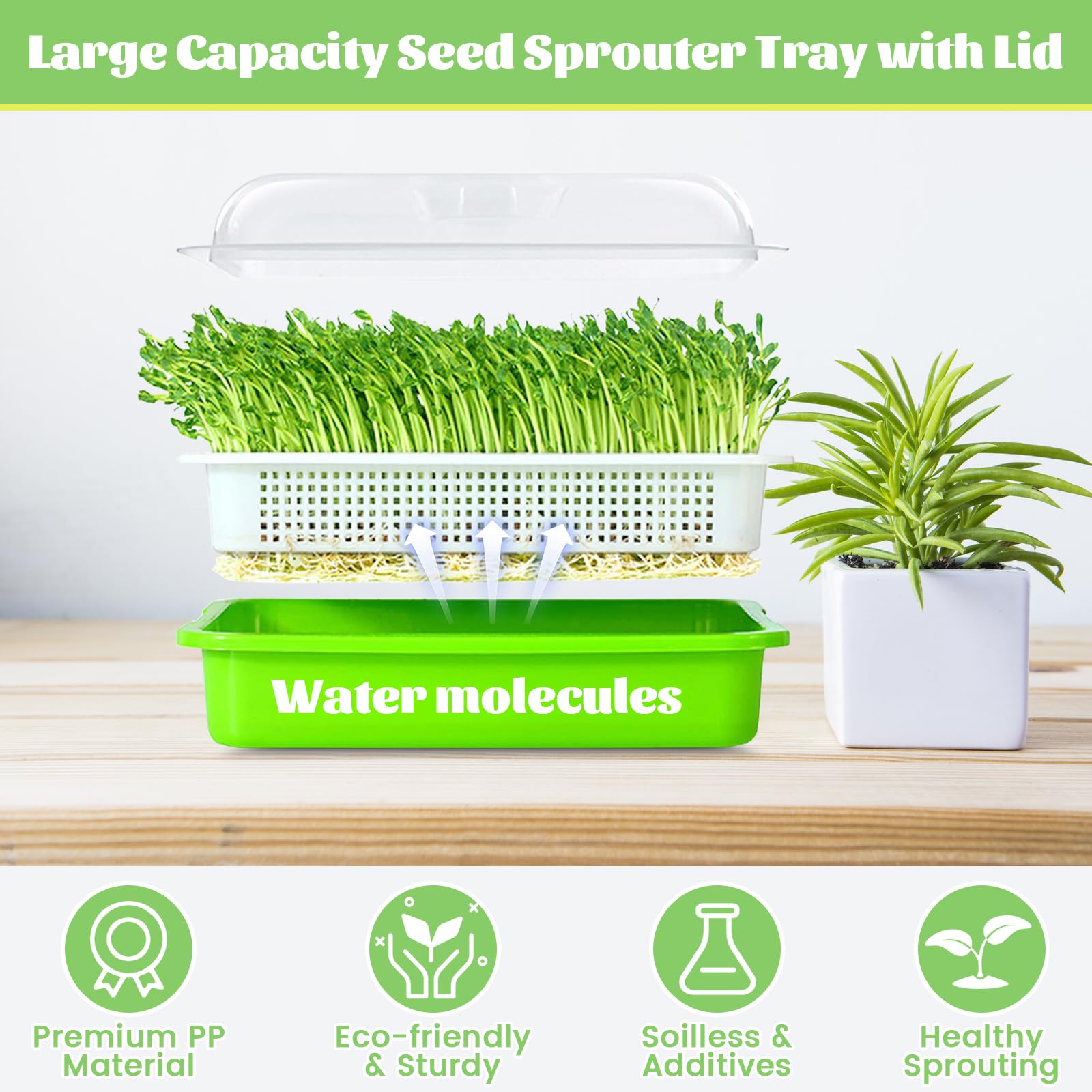 Legigo germinating paper included supports even, soil-free seed germination