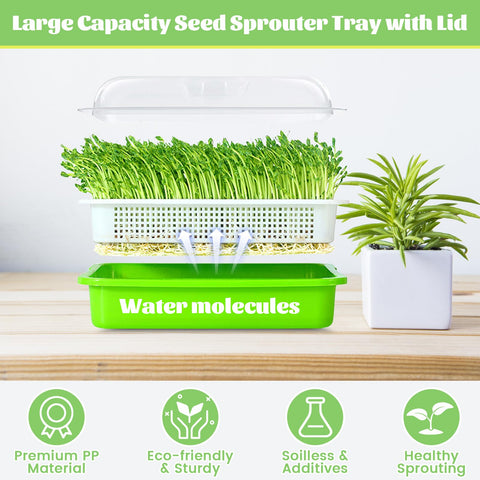 Legigo germinating paper included supports even, soil-free seed germination