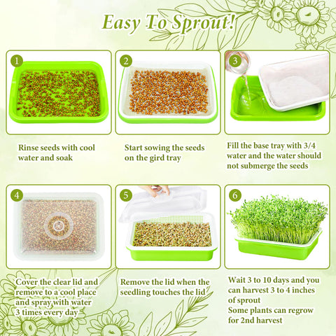 Legigo transparent lid lets you watch microgreens grow without disturbance