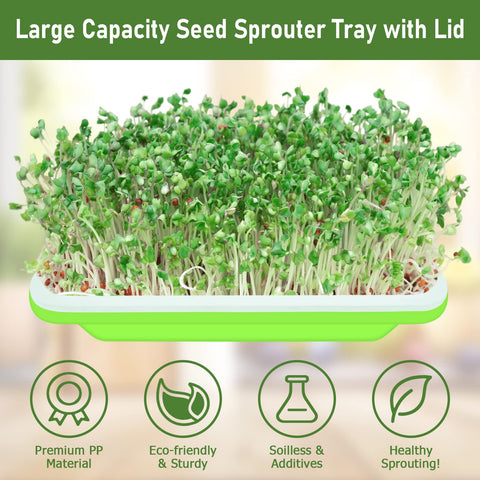 Legigo seed sprouter trays transparent lid lets you watch growth without lifting.