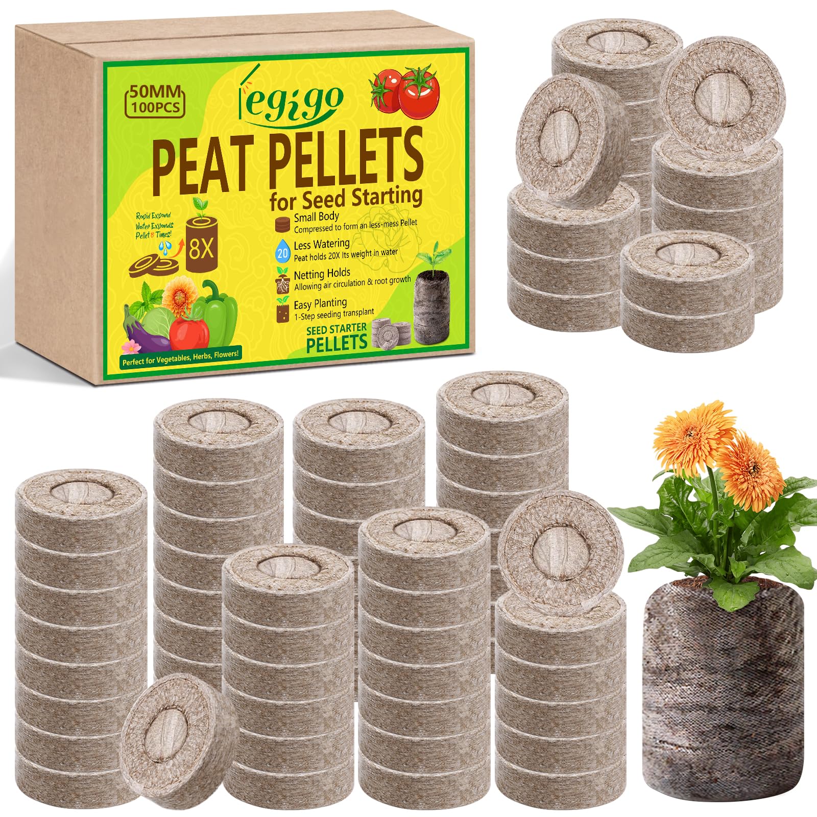 Legigo 50mm seed starter peat pellets expand with water for easy germination.