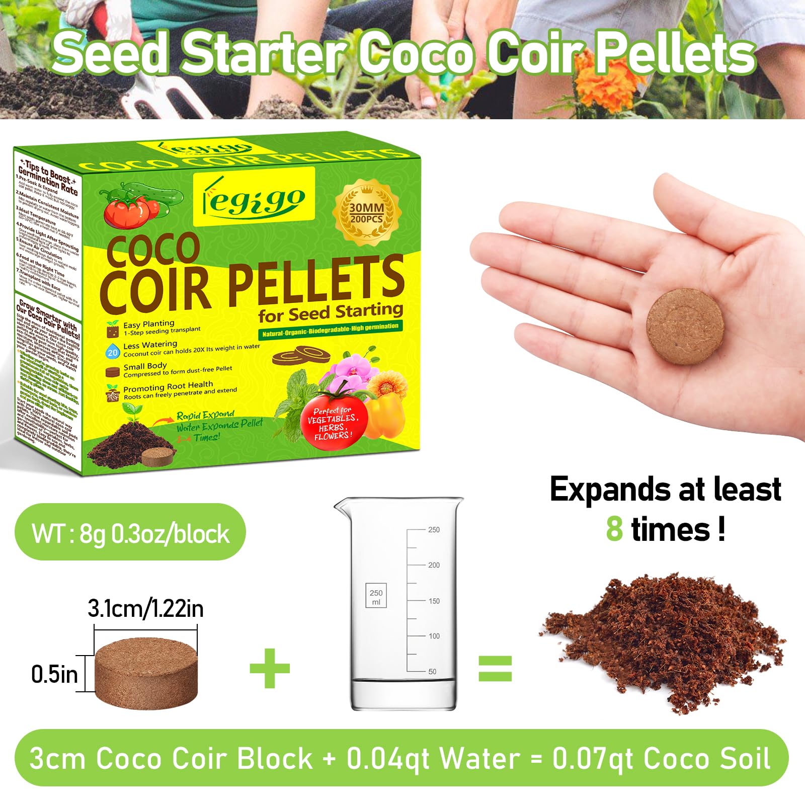 Legigo seed starter pellets expand with water for simplified tray setup.