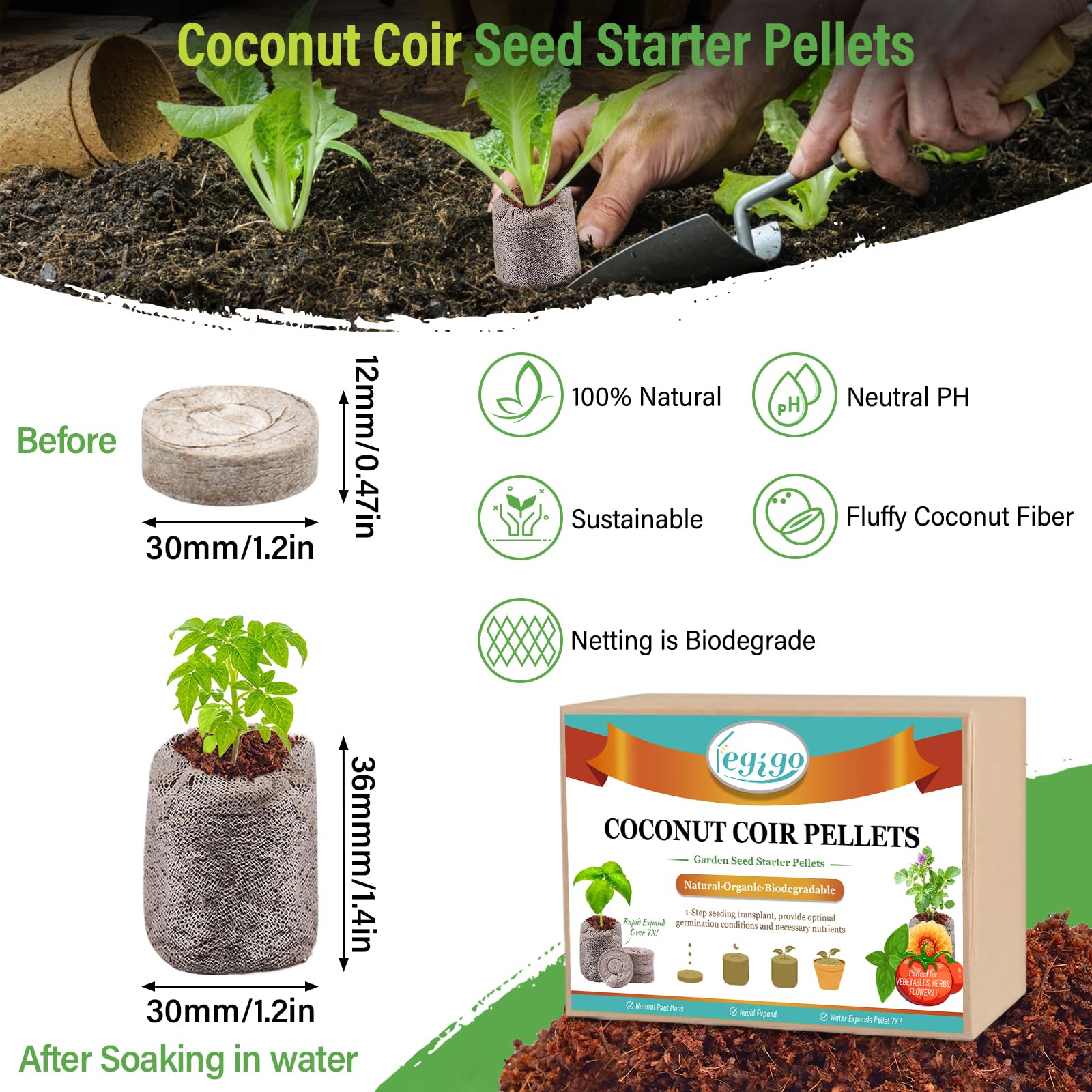 Legigo seed starter pellets expand with water to form fluffy germination medium.