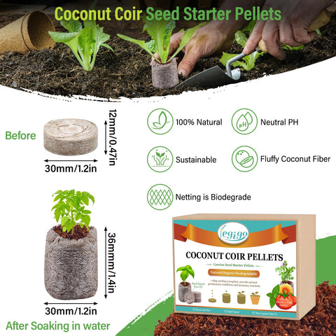Legigo seed starter pellets expand with water to form fluffy germination medium.