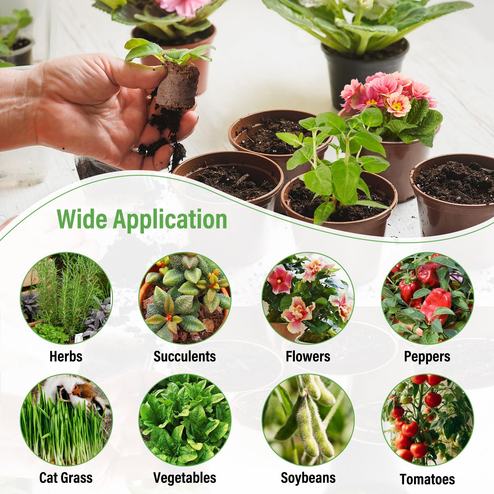 Legigo seed starters are versatile for herbs, vegetables, and flowers