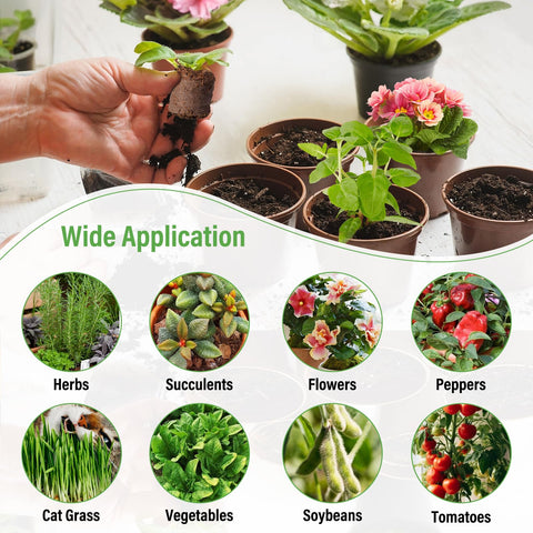Legigo seed starters are versatile for herbs, vegetables, and flowers