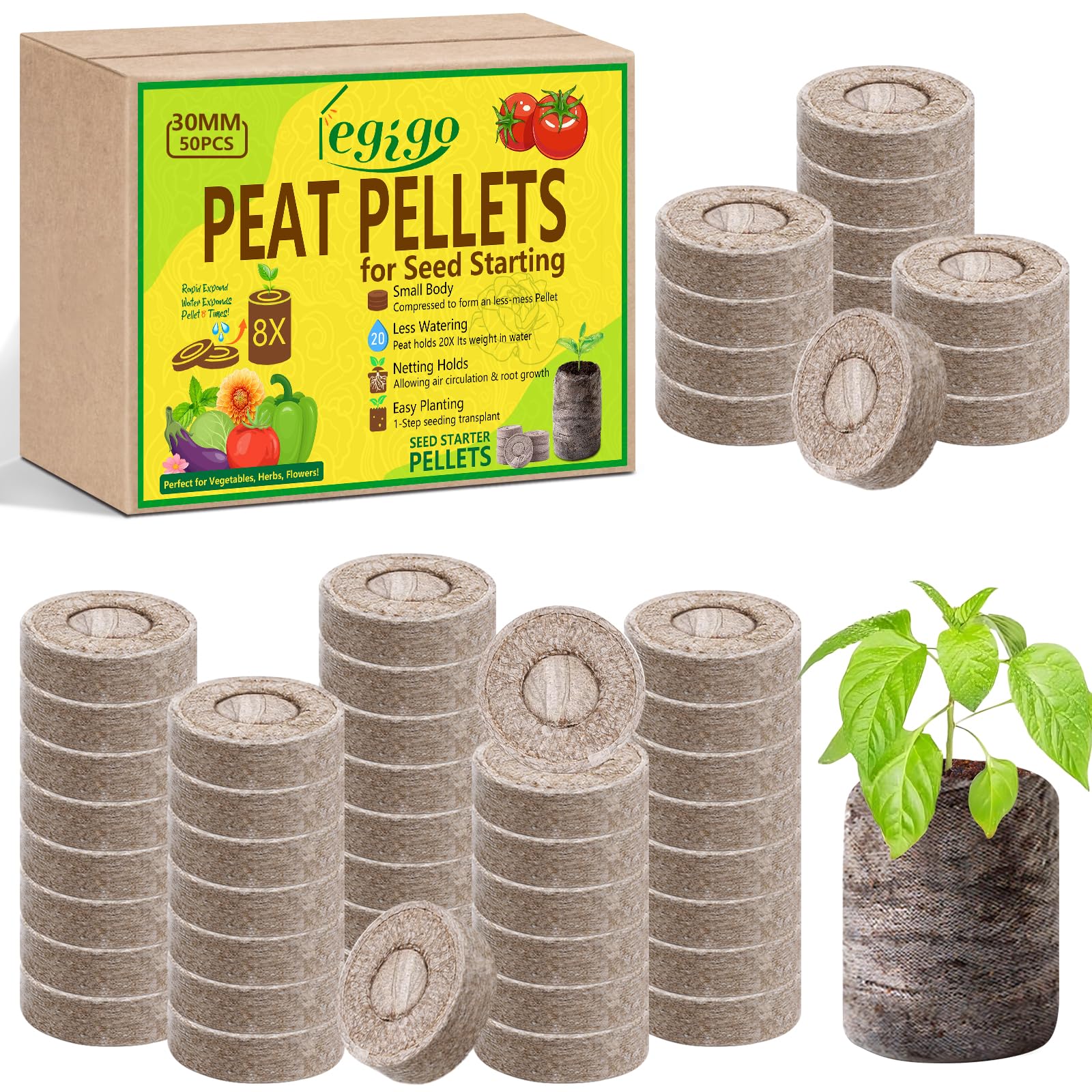 Legigo seed starter pods expand with water to form ready seedling pots.
