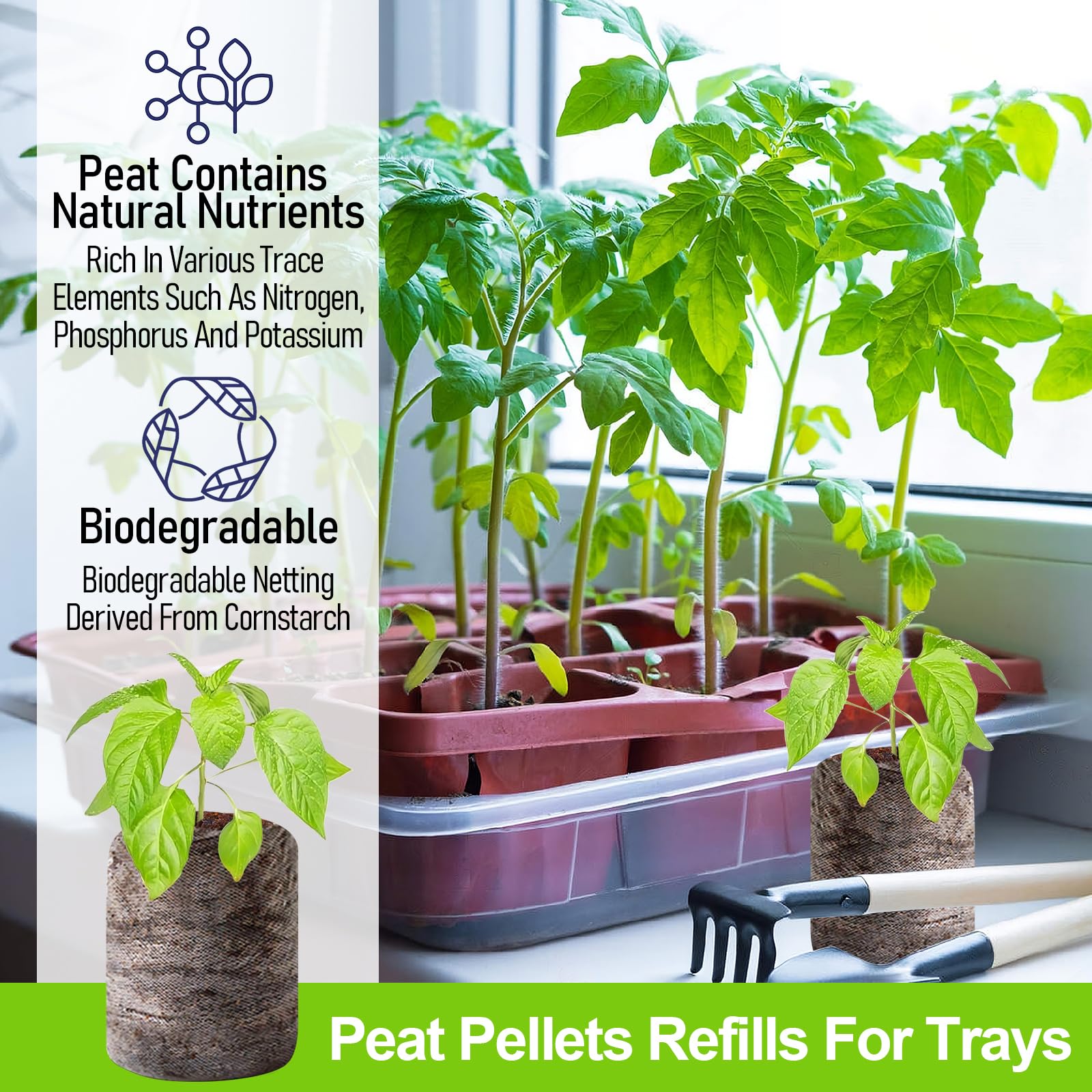 Legigo seed pellets fit 1020 trays for organized starter setups