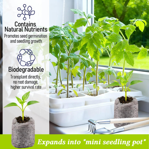 Legigo seed starting in trays demonstrates easy planting without soil mess.