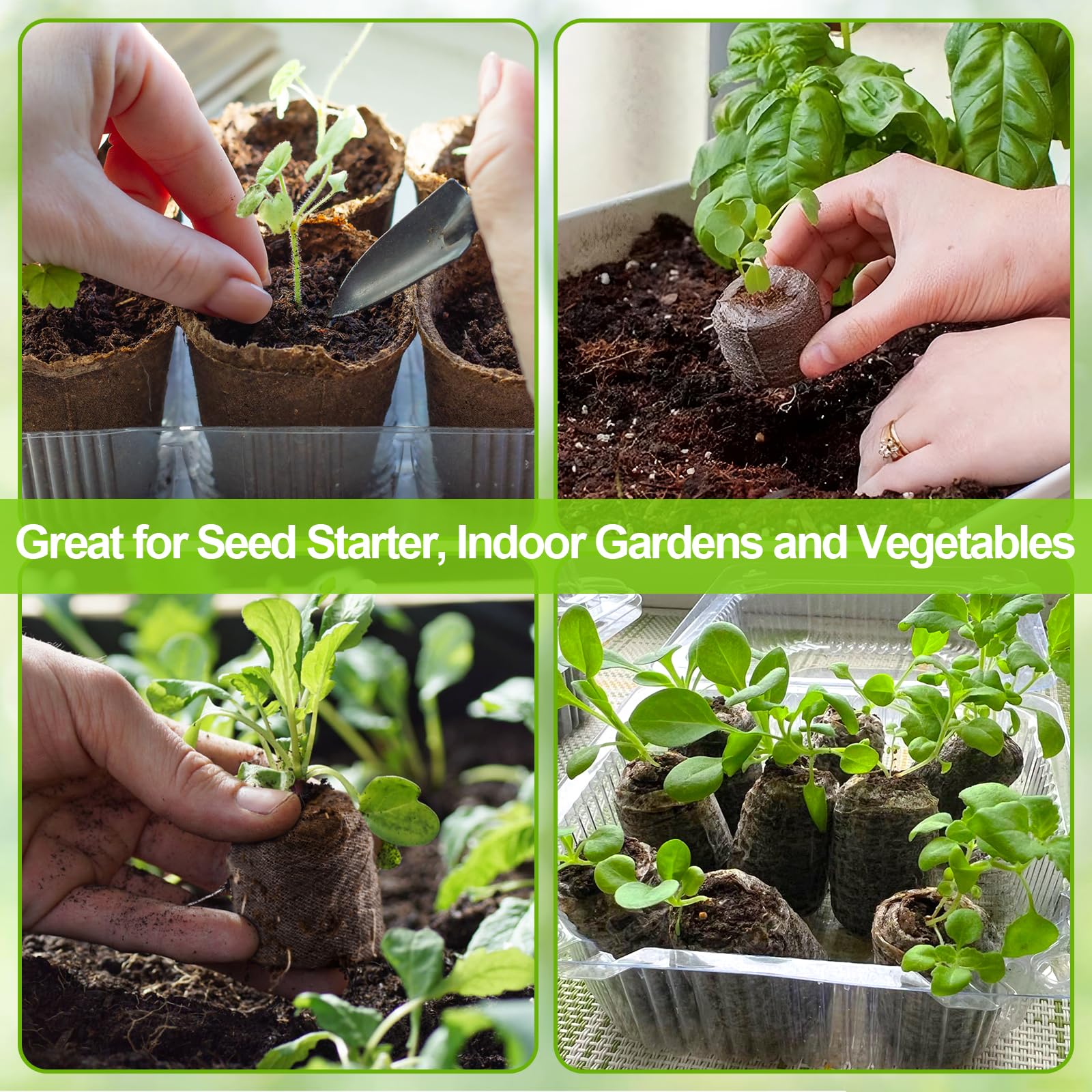 Legigo seed starting for vegetables, herbs, and flowers indoors.