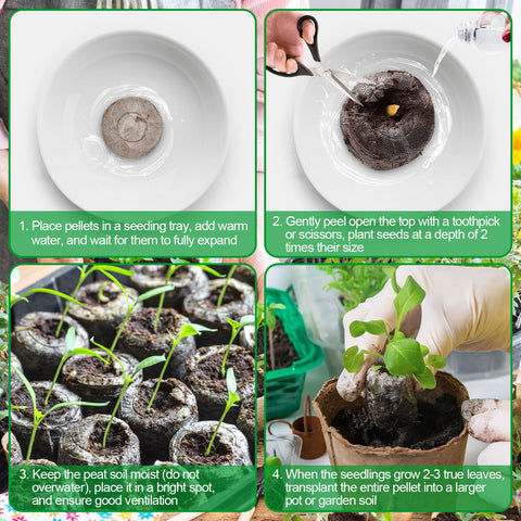 Legigo seed starting for vegetables, herbs, and flowers in compact setups.