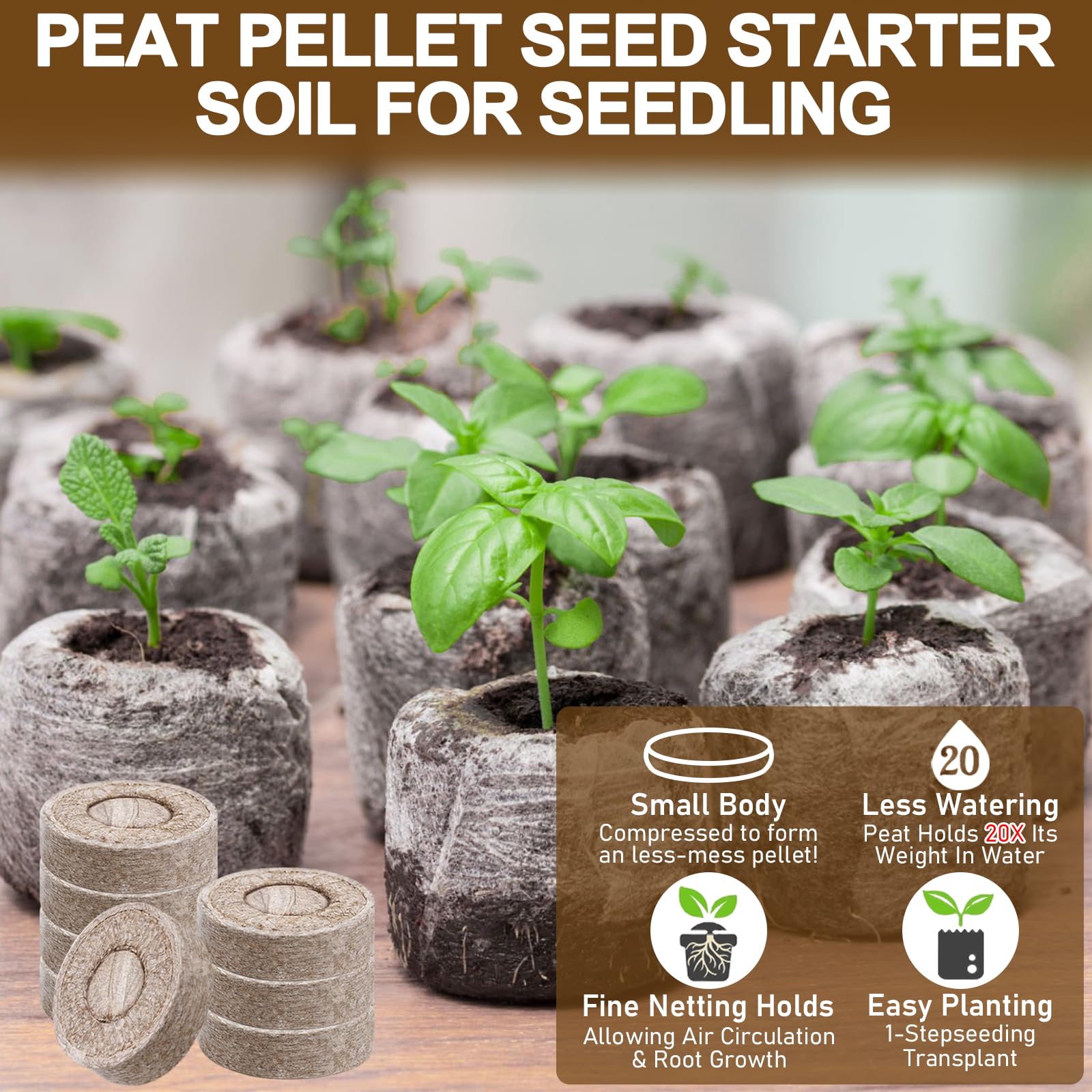 Legigo seedling pellets ready to plant with healthy roots.