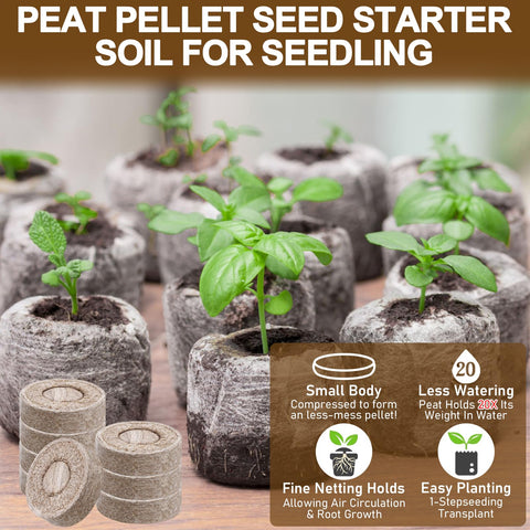 Legigo seedling pellets ready to plant with healthy roots.