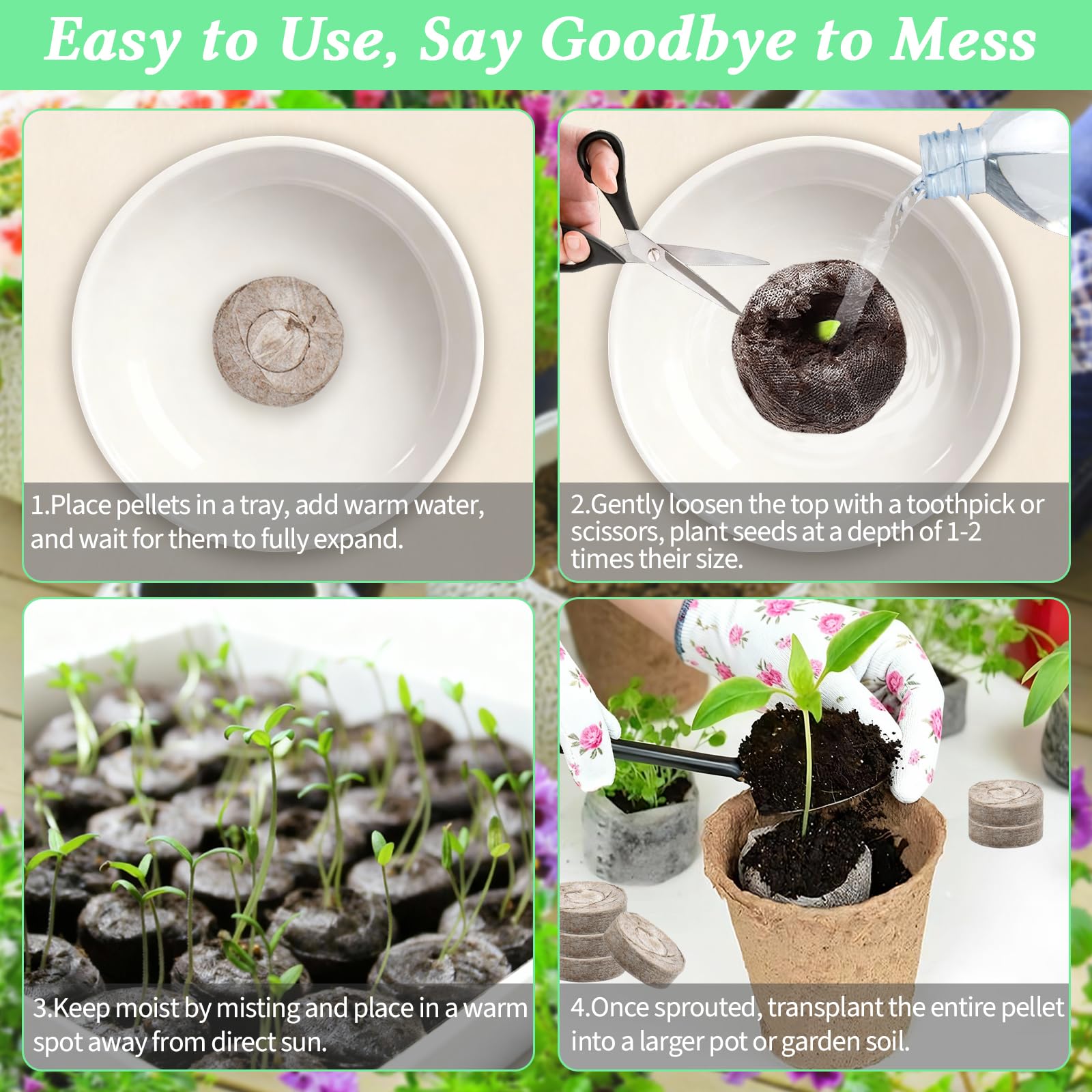Legigo seedling pods can be transplanted whole into soil with minimal disturbance