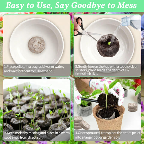 Legigo seedling pods can be transplanted whole into soil with minimal disturbance