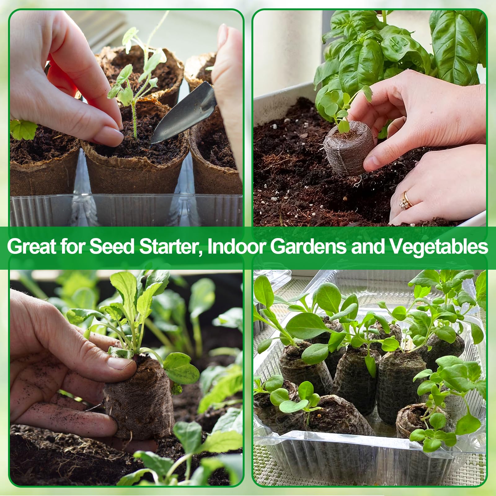 Legigo seedling root development supported by breathable peat and mesh.