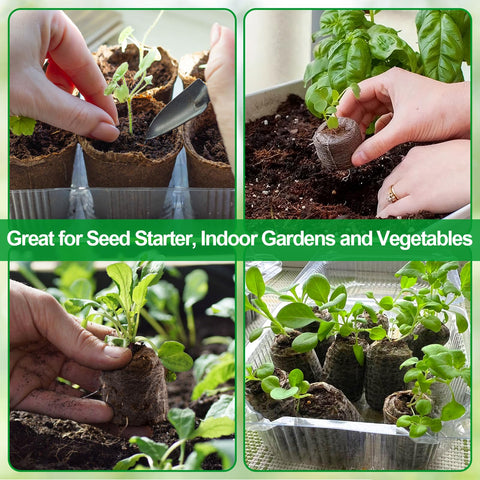 Legigo seedling root development supported by breathable peat and mesh.