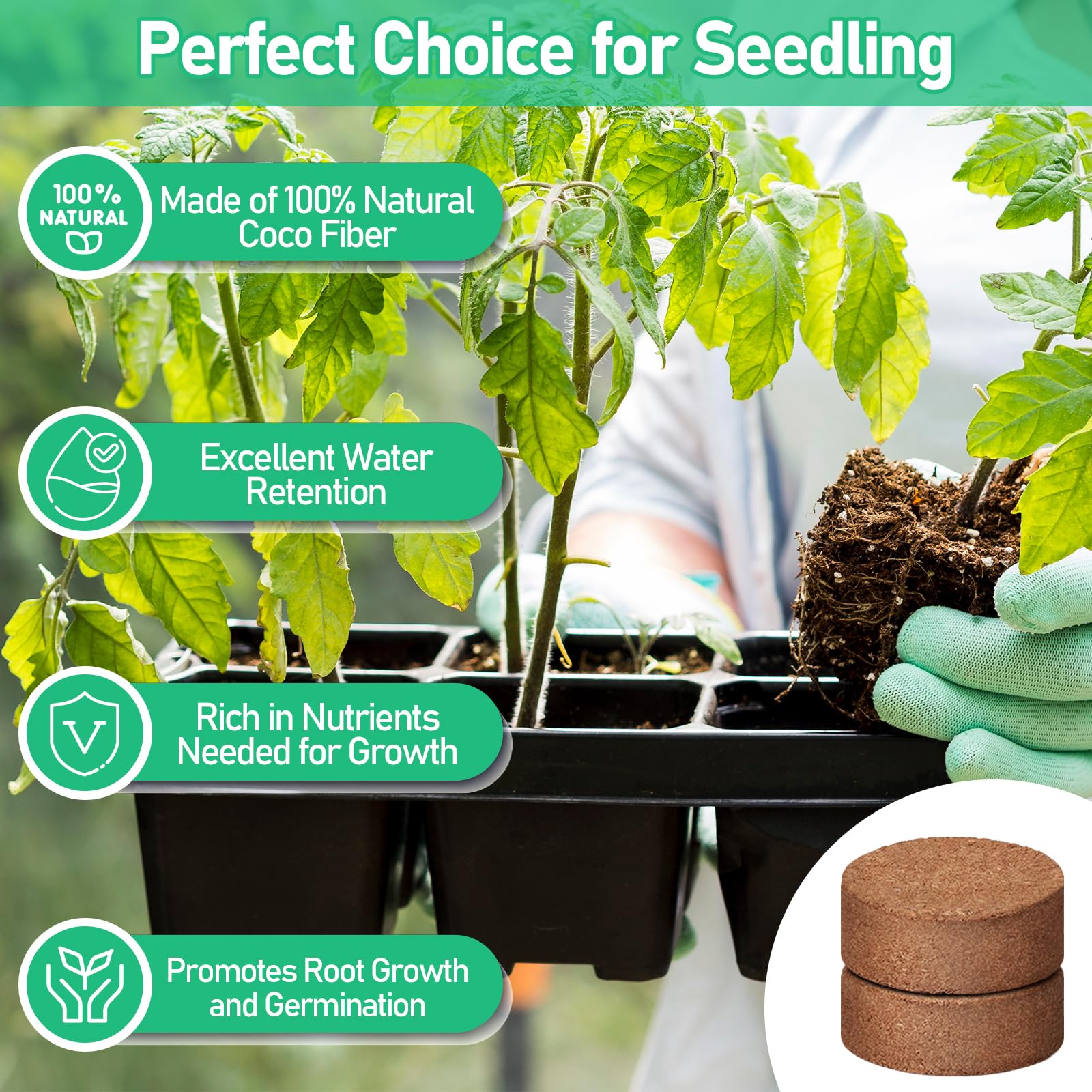 Legigo seedling tray setup with coco coir pellets