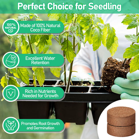 Legigo seedling tray setup with coco coir pellets