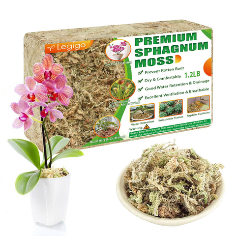 Legigo sphagnum moss 20qt package showing natural moisture retention for thriving plants