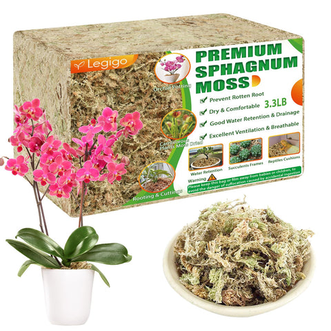 Legigo 60qt sphagnum moss pack showing natural, fluffy texture for moisture retention