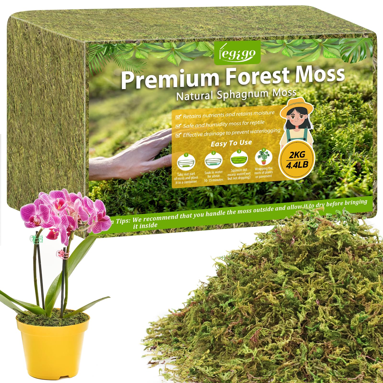 Legigo sphagnum moss brick expansion for easy potting and moisture absorption