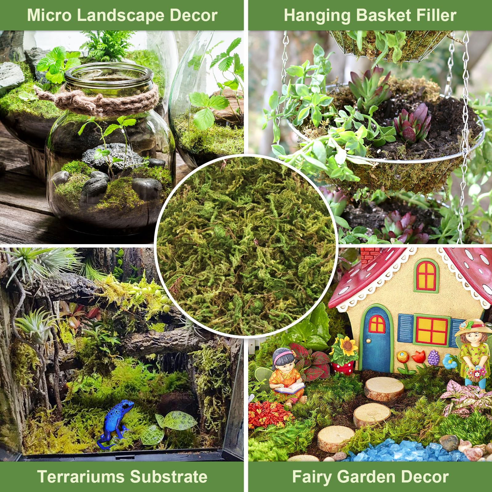 Legigo moss adds natural green texture to decorative pots