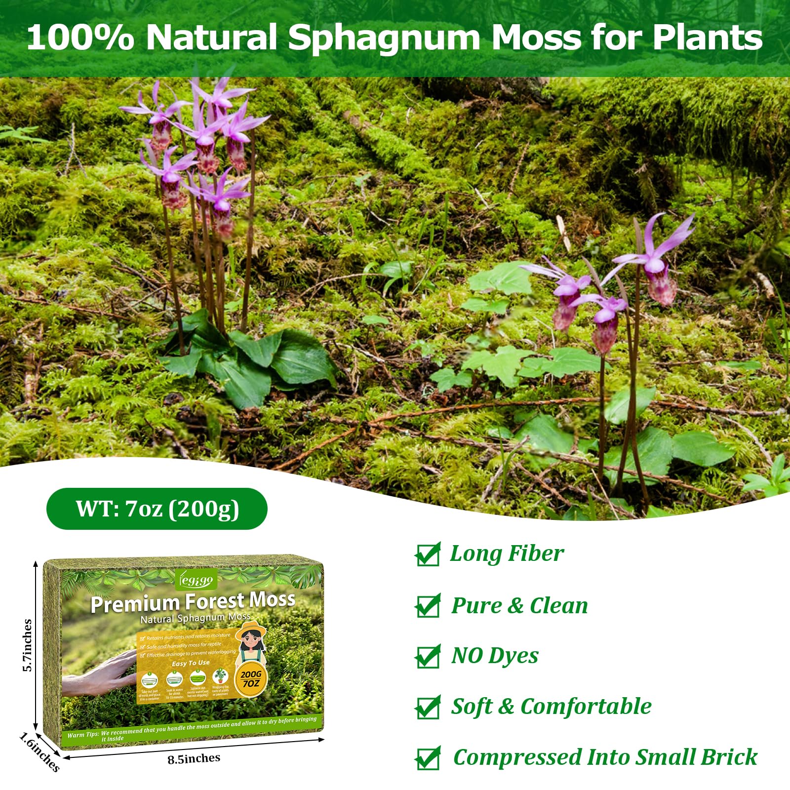 Legigo sphagnum moss green fluff closeup highlighting soft texture for roots