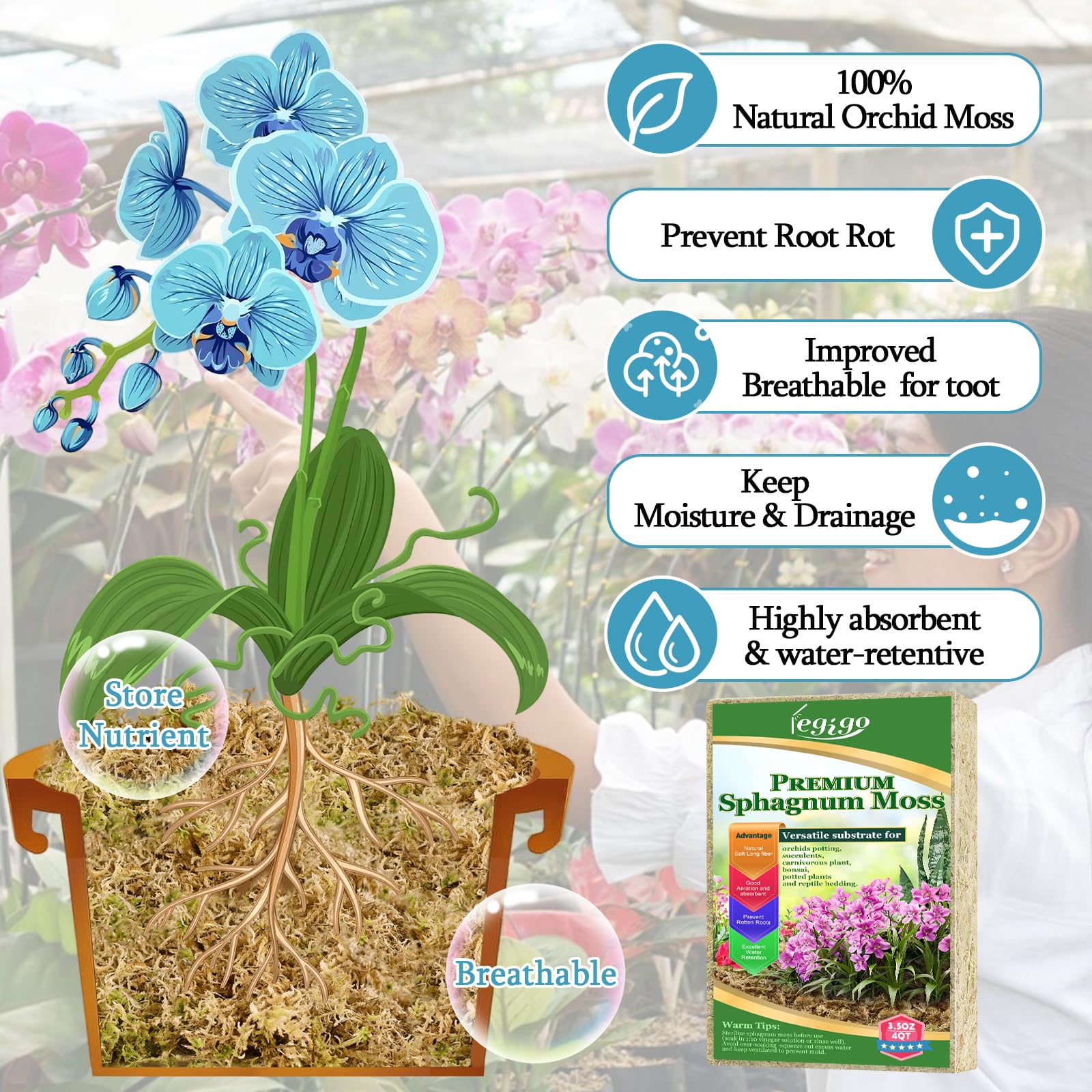 Legigo sphagnum moss long-fiber texture helps retain moisture.