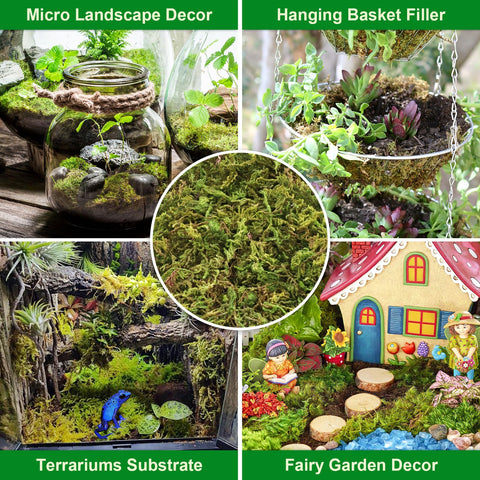Legigo moss for diverse uses including orchids and carnivorous plants