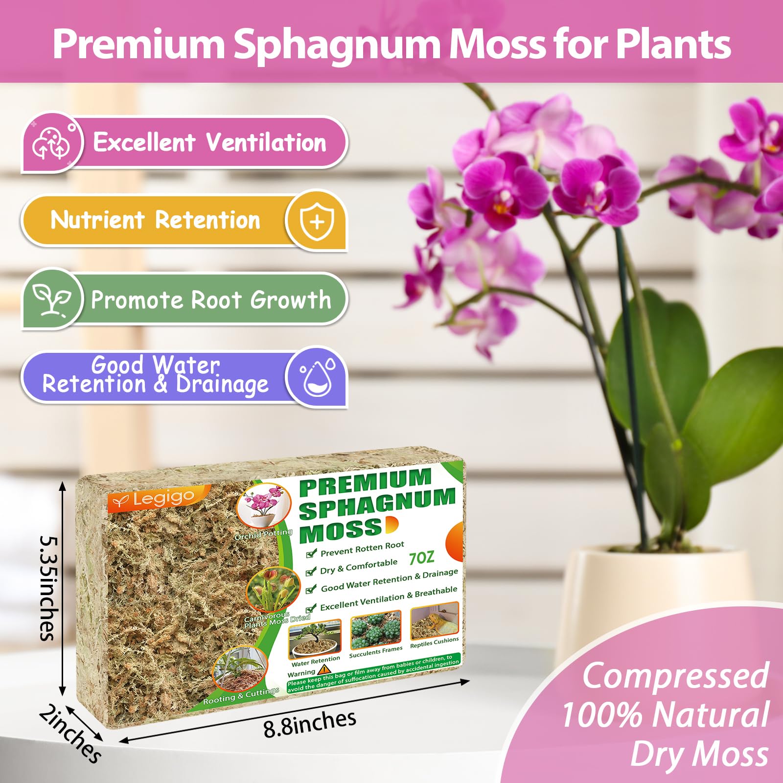 Legigo sphagnum moss soaking stage – moist texture ideal for orchid root growth.
