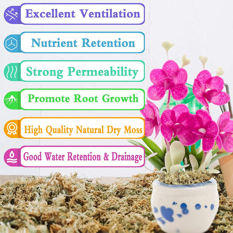 Legigo sphagnum moss root growth in hydroponics promotes healthy oxygenation for roots.