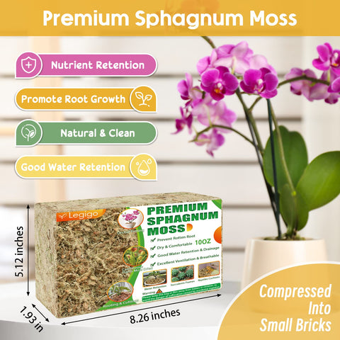 Legigo moss soaking roots for hydroponic setups encouraging healthy root growth.