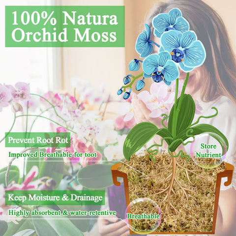 Legigo orchid moss roots-support close-up promotes healthy root growth.